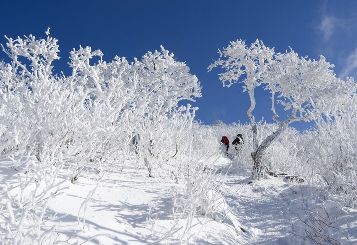 겨울 등산