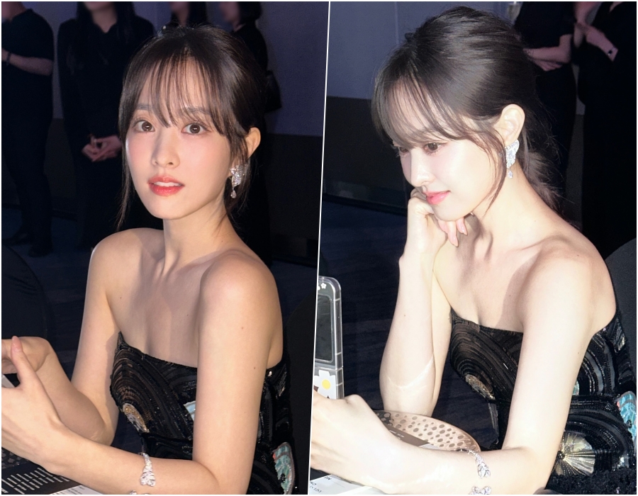 박보영